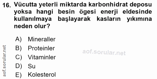 16. soru: Vücutta yeterli miktarda karbonhidrat deposu yoksa hangi besin ögesi enerji eldesinde kullanılmaya başlayarak kasları…