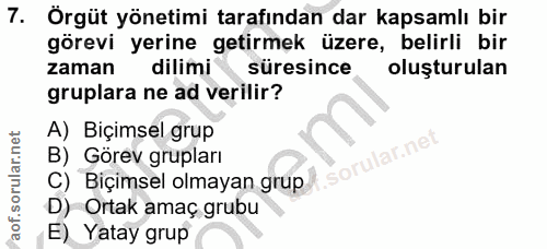 7. soru: Örgüt yönetimi tarafından dar kapsamlı bir görevi yerine getirmek üzere, belirli bir zaman dilimi süresince oluşturul…