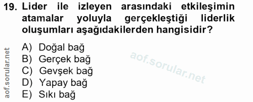 19. soru: Lider ile izleyen arasındaki etkileşimin atamalar yoluyla gerçekleştiği liderlik oluşumları aşağıdakilerden hangisidi…