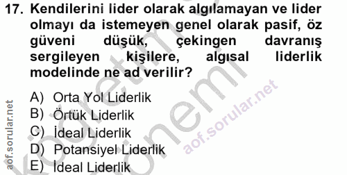 17. soru: Kendilerini lider olarak algılamayan ve lider olmayı da istemeyen genel olarak pasif, öz güveni düşük, çekingen davra…