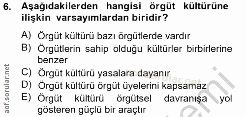 6. soru: Aşağıdakilerden hangisi örgüt kültürüne ilişkin varsayımlardan biridir? A) Örgüt kültürü bazı örgütlerde vardır B) Ör…