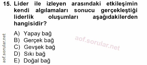 15. soru: Lider ile izleyen arasındaki etkileşimin kendi algılamaları sonucu gerçekleştiği liderlik oluşumları aşağıdakilerden…