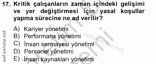 17. soru: Kritik çalışanların zaman içindeki gelişimi ve yer değiştirmesi için yasal koşullar yapma sürecine ne ad verilir? A)…