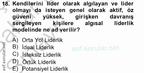 18. soru: Kendilerini lider olarak algılayan ve lider olmayı da isteyen genel olarak aktif, öz güveni yüksek, girişken davranış…