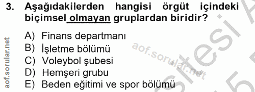 3. soru: Aşağıdakilerden hangisi örgüt içindeki biçimsel olmayan gruplardan biridir? A) Finans departmanı B) İşletme bölümü ao…