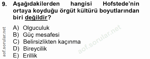9. soru: Aşağıdakilerden hangisi Hofstede'nin ortaya koyduğu örgüt kültürü boyutlarından biri değildir? A) Olguculuk lar.ne B)…