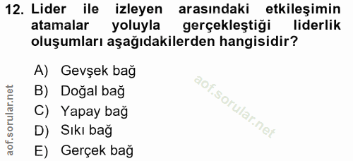 12. soru: Lider ile izleyen arasındaki etkileşimin atamalar yoluyla gerçekleştiği liderlik oluşumları aşağıdakilerden hangisidi…