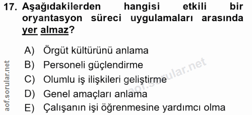 17. soru: Aşağıdakilerden hangisi etkili bir oryantasyon süreci uygulamaları arasında yer almaz? A) Örgüt kültürünü anlama B) P…