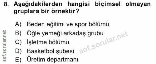 8. soru: Aşağıdakilerden hangisi biçimsel olmayan gruplara bir örnektir? A) Beden eğitimi ve spor bölümü B) Öğle yemeği arkada…