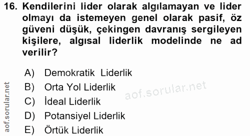 16. soru: Kendilerini lider olarak algılamayan ve lider olmayı da istemeyen genel olarak pasif, öz güveni düşük, çekingen davra…