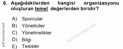 6. soru: Aşağıdakilerden hangisi organizasyonu oluşturan temel değerlerden biridir? A) Sporcular B) Yöneticiler C) Yönetmelikl…