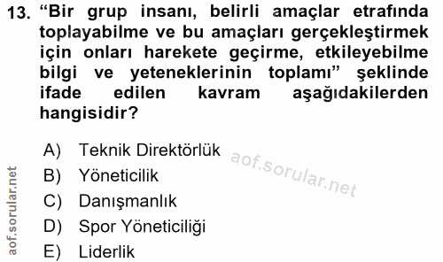 13. soru: "Bir grup insanı, belirli amaçlar etrafinda toplayabilme ve bu amaçları gerçekleştirmek için onları harekete geçirme,…