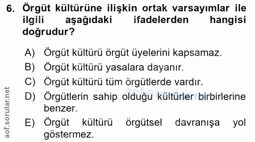 6. soru: Örgüt kültürüne ilişkin ortak varsayımlar ile ilgili aşağıdaki ifadelerden hangisi doğrudur? A) Örgüt kültürü örgüt ü…