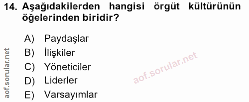 14. soru: Aşağıdakilerden hangisi örgüt kültürünün öğelerinden biridir? A) Paydaşlar B) İlişkiler C) Yöneticiler D) Liderler E)…
