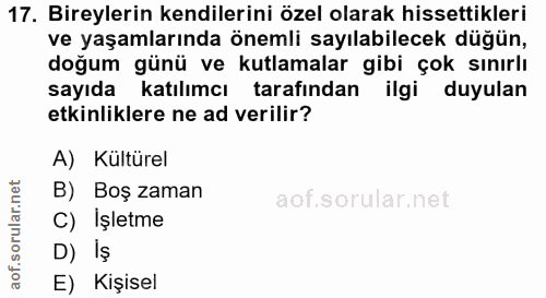 17. soru: Bireylerin kendilerini özel olarak hissettikleri ve yaşamlarında önemli sayılabilecek düğün, doğum günü ve kutlamalar…