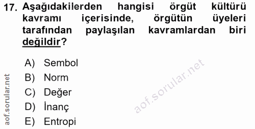 17. soru: Aşağıdakilerden hangisi örgüt kültürü kavramı içerisinde, örgütün üyeleri tarafından paylaşılan kavramlardan biri değ…