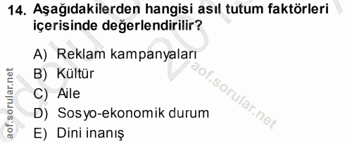 14. soru: Aşağıdakilerden hangisi asıl tutum faktörleri içerisinde değerlendirilir? A)_ Reklam kampanyaları B) Kültür C) Aile D…