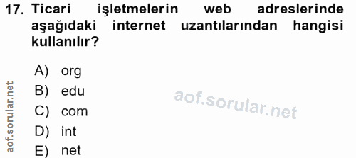 17. soru: Ticari işletmelerin web adreslerinde aşağıdaki internet uzantılarından hangisi kullanılır? A) org B) edu C) com D) in…
