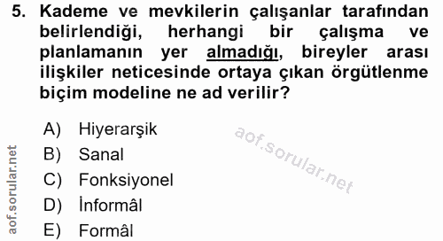 5. soru: Kademe ve mevkilerin çalışanlar tarafından belirlendiği, herhangi bir çalışma ve planlamanın yer almadığı, bireyler a…