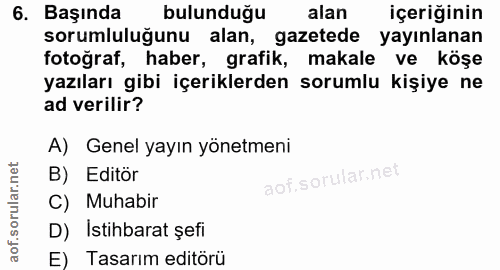 6. soru: Başında bulunduğu alan içeriğinin sorumluluğunu alan, gazetede yayınlanan fotoğraf, haber, grafik, makale • ve köşe y…
