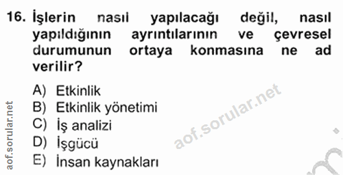 16. soru: İşlerin nasil yapılacağı değil, nasil yapıldığının ayrintilarının ve çevresel durumunun ortaya konmasına ne ad verili…