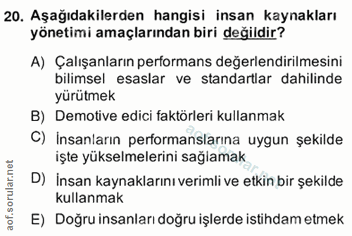 20. soru: Aşağıdakilerden hangisi insan kaynakları yönetimi amaçlarından biri değildir? A) Çalışanların performans değerlendiri…