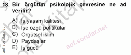 18. soru: Bir örgütün psikolojik çevresine ne ad verilir? A) İş yaşam kalitesi B) İşe özgü politikalar C) Örgütsel iklim D) Pay…