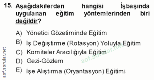 15. soru: Aşağıdakilerden hangisi İşbaşında uygulanan eğitim yöntemlerinden biri değildir? A) Yönetici Gözetiminde Eğitim B) İş…