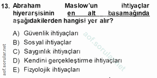 13. soru: Abraham Maslow'un ihtiyaçlar hiyerarşisinin en alt basamağında aşağıdakilerden hangisi yer alır? A) Güvenlik ihtiyaçl…