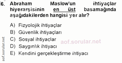 6. soru: Abraham Maslow'un ihtiyaçlar hiyerarşisinin en üst basamağında aşağıdakilerden hangisi yer alır? A) Fizyolojik ihtiya…