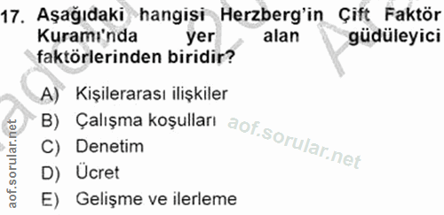 17. soru: Aşağıdaki hangisi Herzberg'in Çift Faktör Kuramı'nda yer alan güdüleyici faktörlerinden biridir? B) Çalışma koşulları…