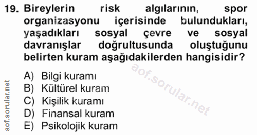 19. soru: Bireylerin risk algilarının, spor organizasyonu içerisinde bulundukları, yaşadıkları sosyal çevre ve sosyal davranışl…