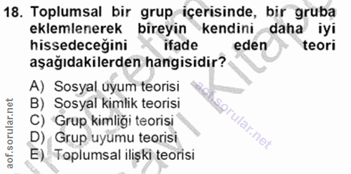 18. soru: Toplumsal bir grup içerisinde, bir gruba eklemlenerek bireyin kendini daha iyi hissedeceğini ifade eden teori aşağıda…