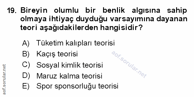 19. soru: Bireyin olumlu bir benlik algısına sahip olmaya ihtiyaç duyduğu varsayımına dayanan teori aşağıdakilerden hangisidir?…