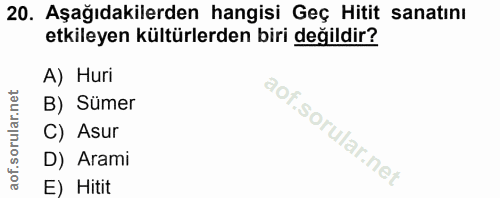 20. soru: Aşağıdakilerden hangisi Geç Hitit sanatını etkileyen kültürlerden biri değildir? A) Huri B) Sümer C) Asur D) Arami E)…