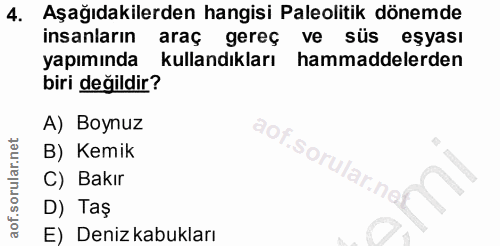 4. soru: Aşağıdakilerden hangisi Paleolitik dönemde insanların araç gereç ve süs eşyası yapımında kullandıkları hammaddelerden…