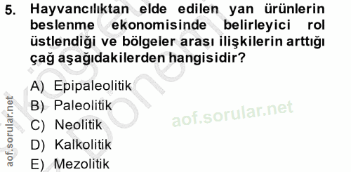 5. soru: Hayvancılıktan elde edilen yan ürünlerin beslenme ekonomisinde belirleyici rol üstlendiği ve bölgeler arası ilişkiler…