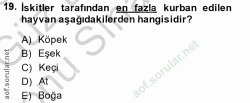 19. soru: İskitler tarafından en fazla kurban edilen hayvan aşağıdakilerden hangisidir? A) Köpek B) Eşek C) Keçi D) At E) Boğa