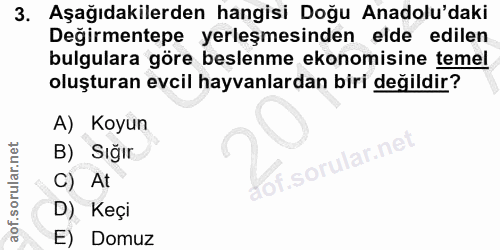 3. soru: Aşağıdakilerden hangisi Doğu Anadolu'daki Değirmentepe yerleşmesinden elde edilen bulgulara göre beslenme ekonomisine…