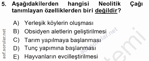 5. soru: Aşağıdakilerden hangisi Neolitik Çağı tanımlayan özelliklerden biri değildir? A) Yerleşik köylerin oluşması B) Obsidy…