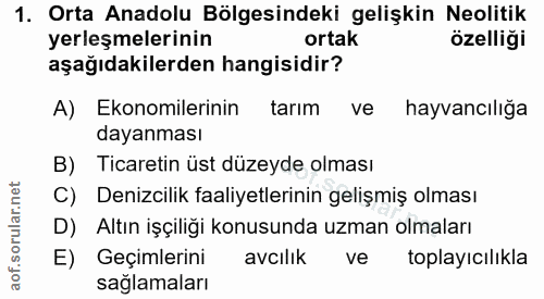 1. soru: Orta Anadolu Bölgesindeki gelişkin Neolitik yerleşmelerinin ortak özelliği aşağıdakilerden hangisidir? A) Ekonomileri…