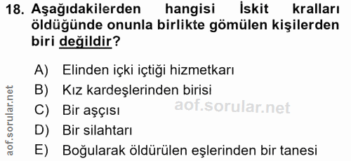 18. soru: Aşağıdakilerden hangisi İskit kralları öldüğünde onunla birlikte gömülen kişilerden biri değildir? A) Elinden içki iç…