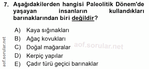 7. soru: Aşağıdakilerden hangisi Paleolitik Dönem'de barınaklarından biri değildir? yaşayan insanların kullandıkları A) Kaya s…