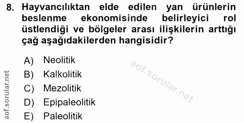 8. soru: Hayvancılıktan elde edilen yan ürünlerin beslenme ekonomisinde belirleyici rol üstlendiği ve bölgeler arası ilişkiler…