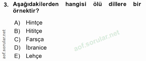 3. soru: Aşağıdakilerden hangisi ölü dillere bir örnektir? A) Hintçe rular.net B) Hititçe C) Farsça D) Ibranice aof. E) Lehçe
