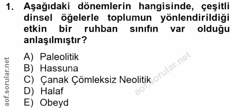 1. soru: Aşağıdaki dönemlerin hangisinde, çeşitli dinsel öğelerle toplumun yönlendirildiği etkin bir ruhban sınıfın var olduğu…