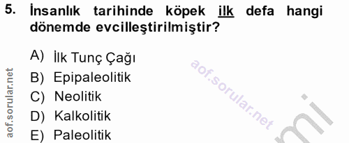 5. soru: Insanlık tarihinde köpek ilk defa hangi dönemde evcilleştirilmiştir? A) İlk Tunç Çağı B) Epipaleolitik soru C) Neolit…