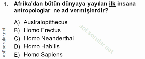 1. soru: Afrika'dan bütün dünyaya yayılan ilk insana antropologlar ne ad vermişlerdir? A) Australopithecus B) Homo Erectus C)…