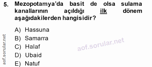 5. soru: Mezopotamya'da basit de olsa sulama kanallarının açıldığı ilk dönem aşağıdakilerden hangisidir? A) Hassuna B) Samarra…