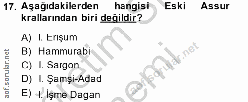 17. soru: Aşağıdakilerden hangisi Eski Assur krallarından biri değildir? A) I. Erişum B) Hammurabi raid.net C) I. Sargon D) I.…